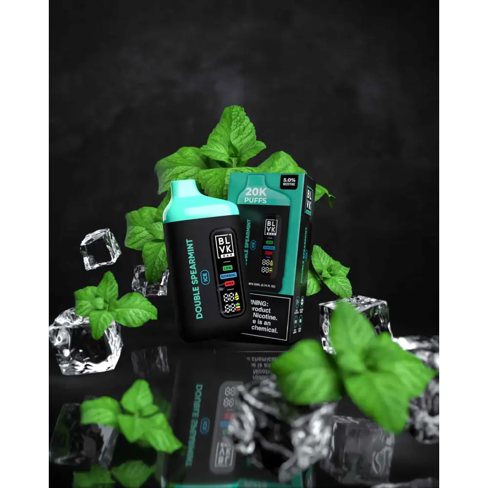 Blvk Bar 20000 Puffs Disposable Vape - Double Spearmint - Disposable Vape - Vapes Uae