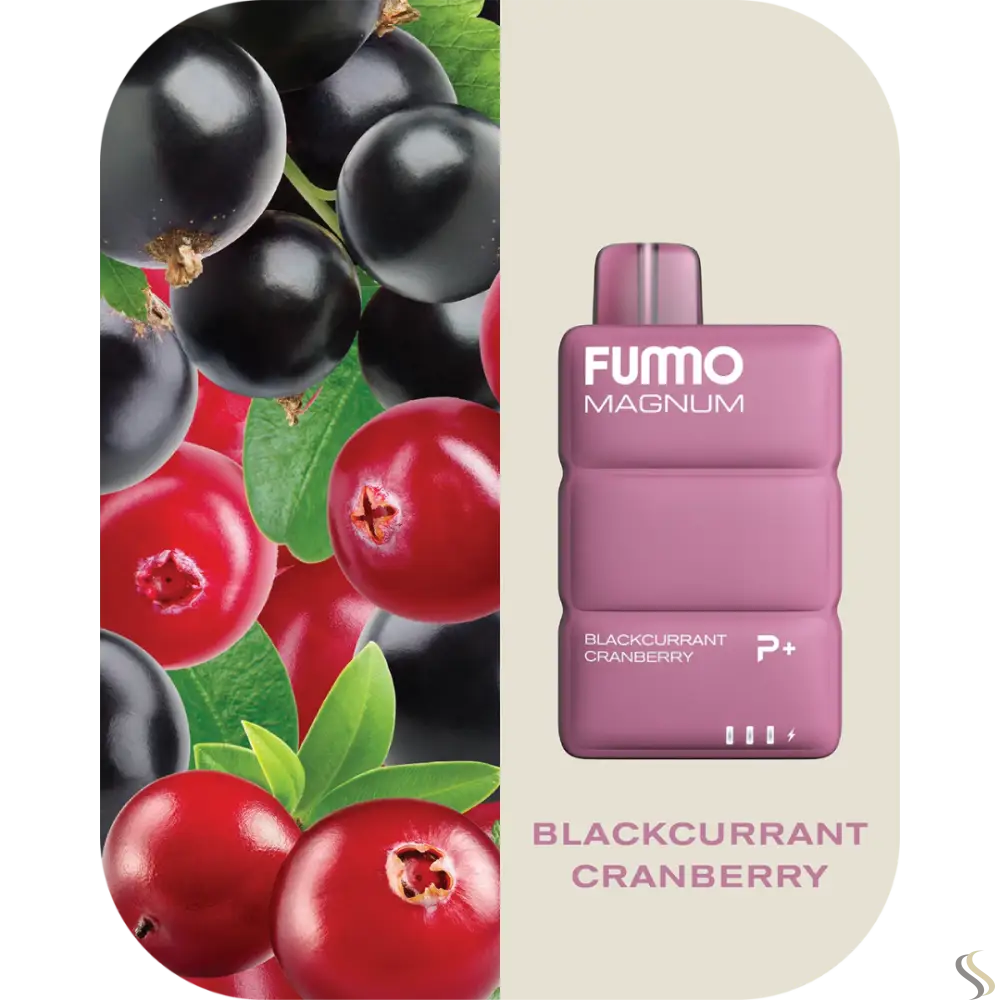 Fummo Magnum 8k Puffs Disposable - Black Currant Cranberry - Disposable Vape - Vapes Uae