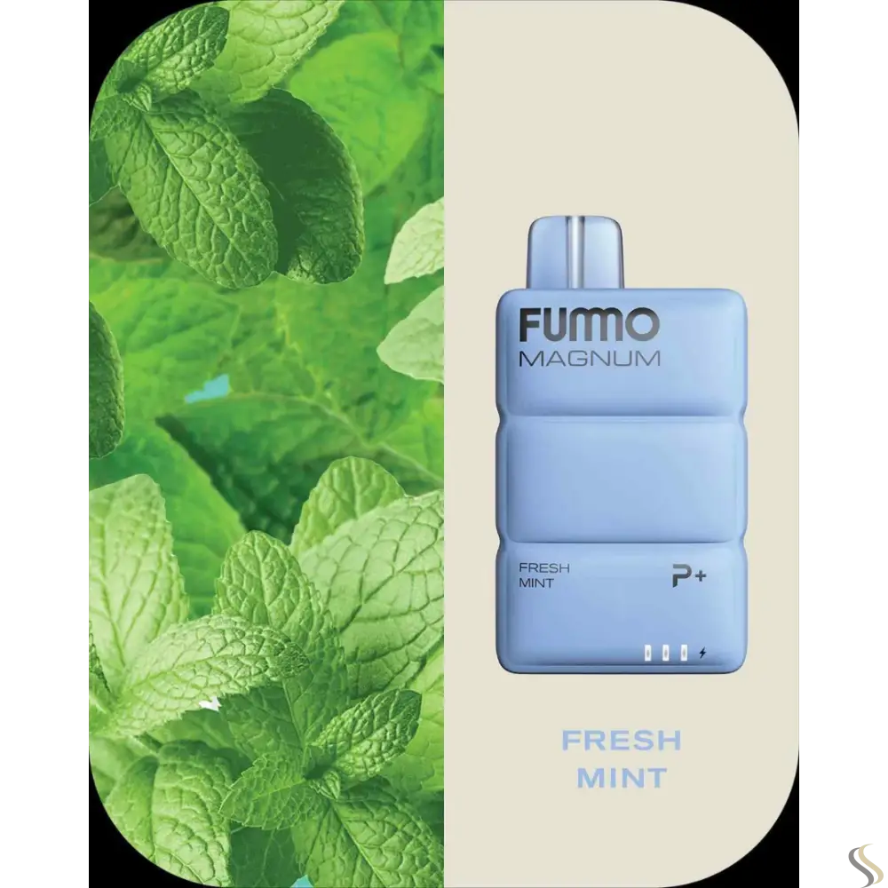 Fummo Magnum 8k Puffs Disposable - Fresh Mint - Disposable Vape - Vapes Uae