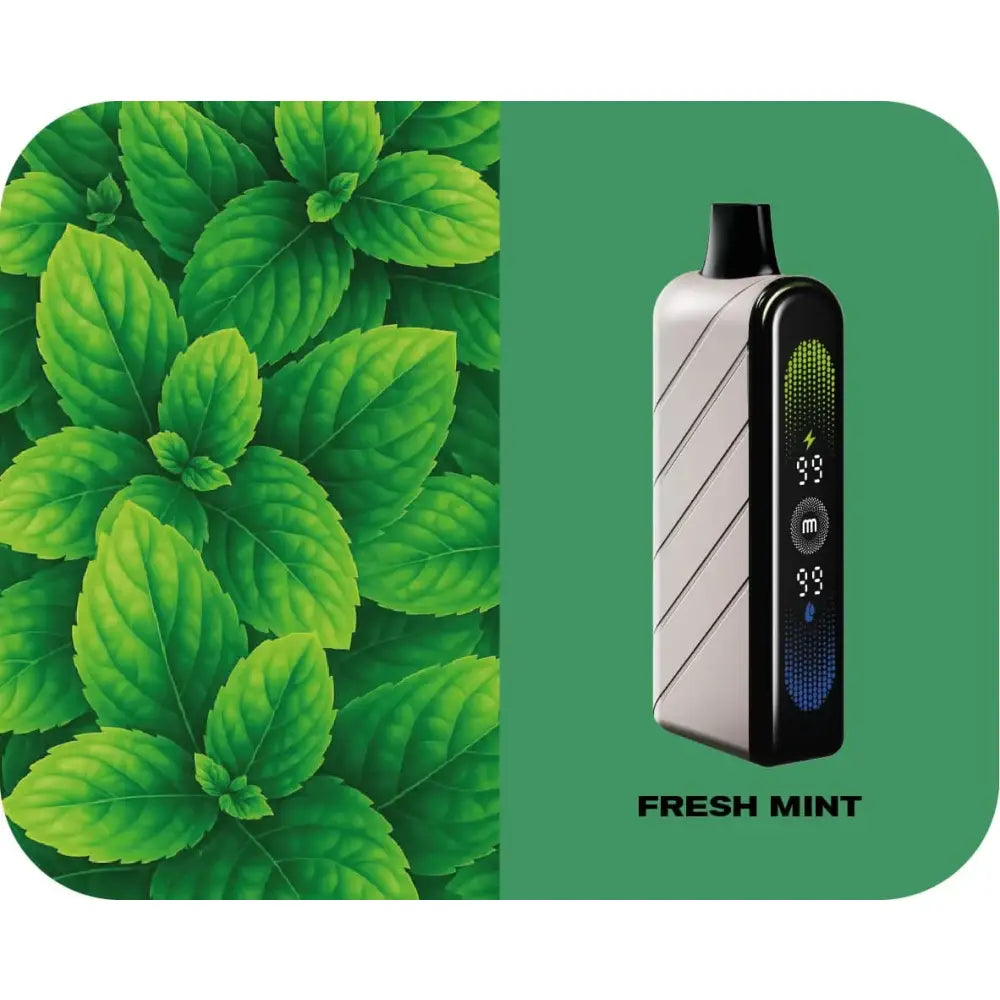 Fummo Nova 50000 Puffs Disposable Vape - Fresh Mint - Disposable Vape - Vapes Uae