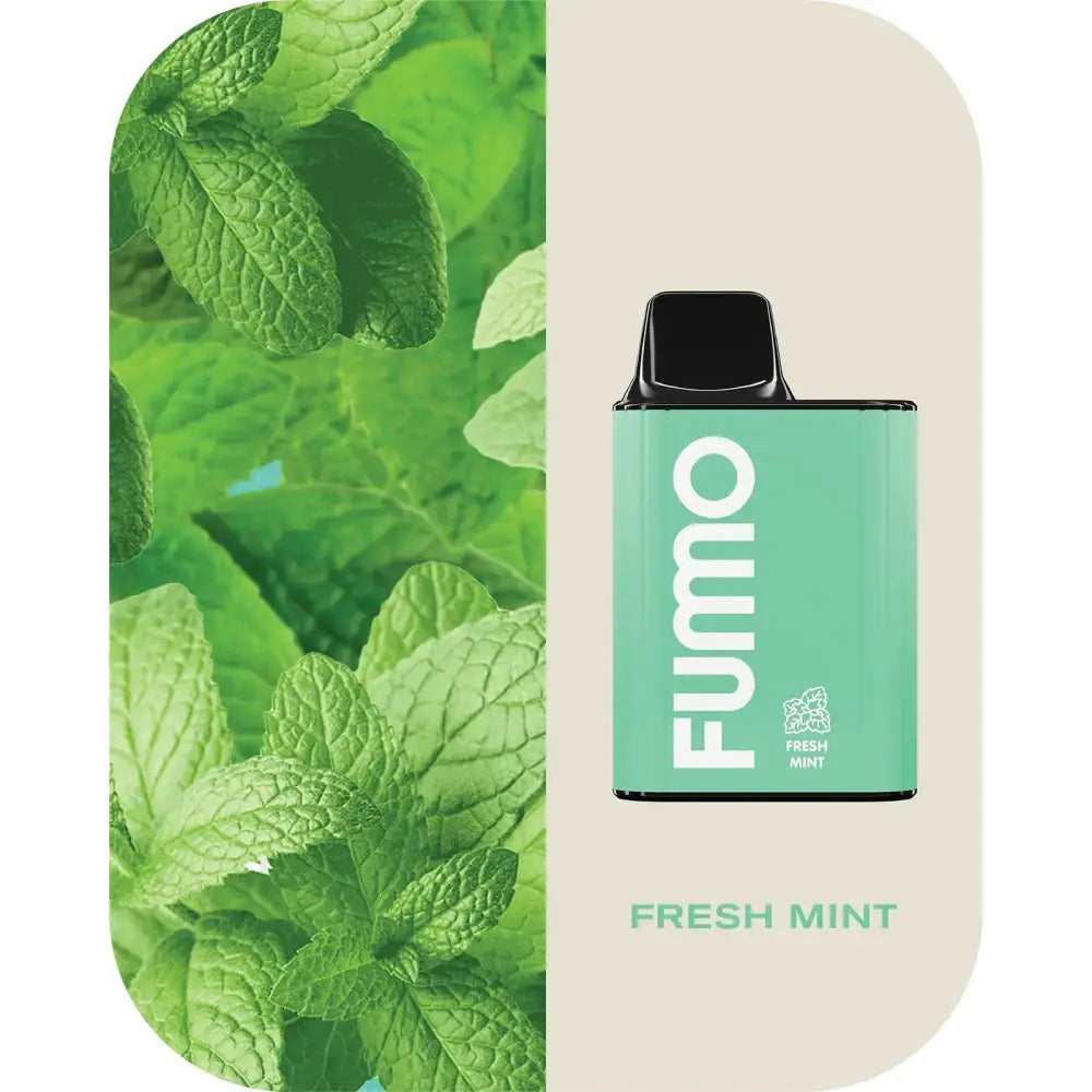 Fumo King 6000 Puffs Disposable Vape - Fresh Mint - Disposable Vape - Vapes Uae