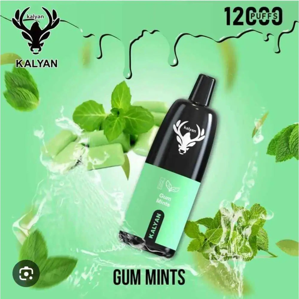 Kalyan 12000 Puffs Disposable Vape - Gum Mint - Disposable Vape - Vapes Uae