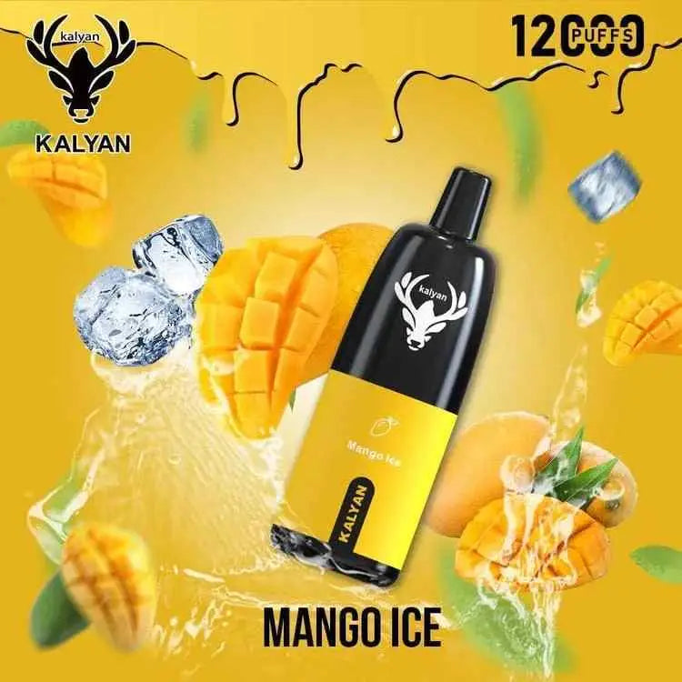 Kalyan 12000 Puffs Disposable Vape - Mango Ice - Disposable Vape - Vapes Uae