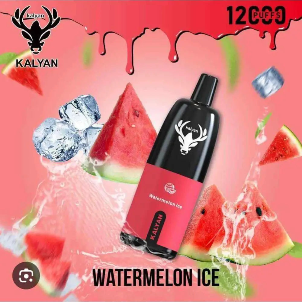 Kalyan 12000 Puffs Disposable Vape - Disposable Vape - Vapes Uae
