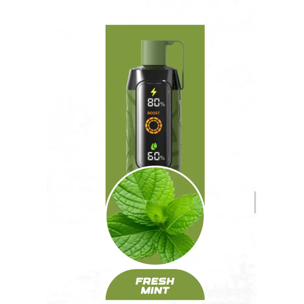 Nerd 20000 Puffs Disposable Vape - Fresh Mint - Disposable Vape - Vapes Uae