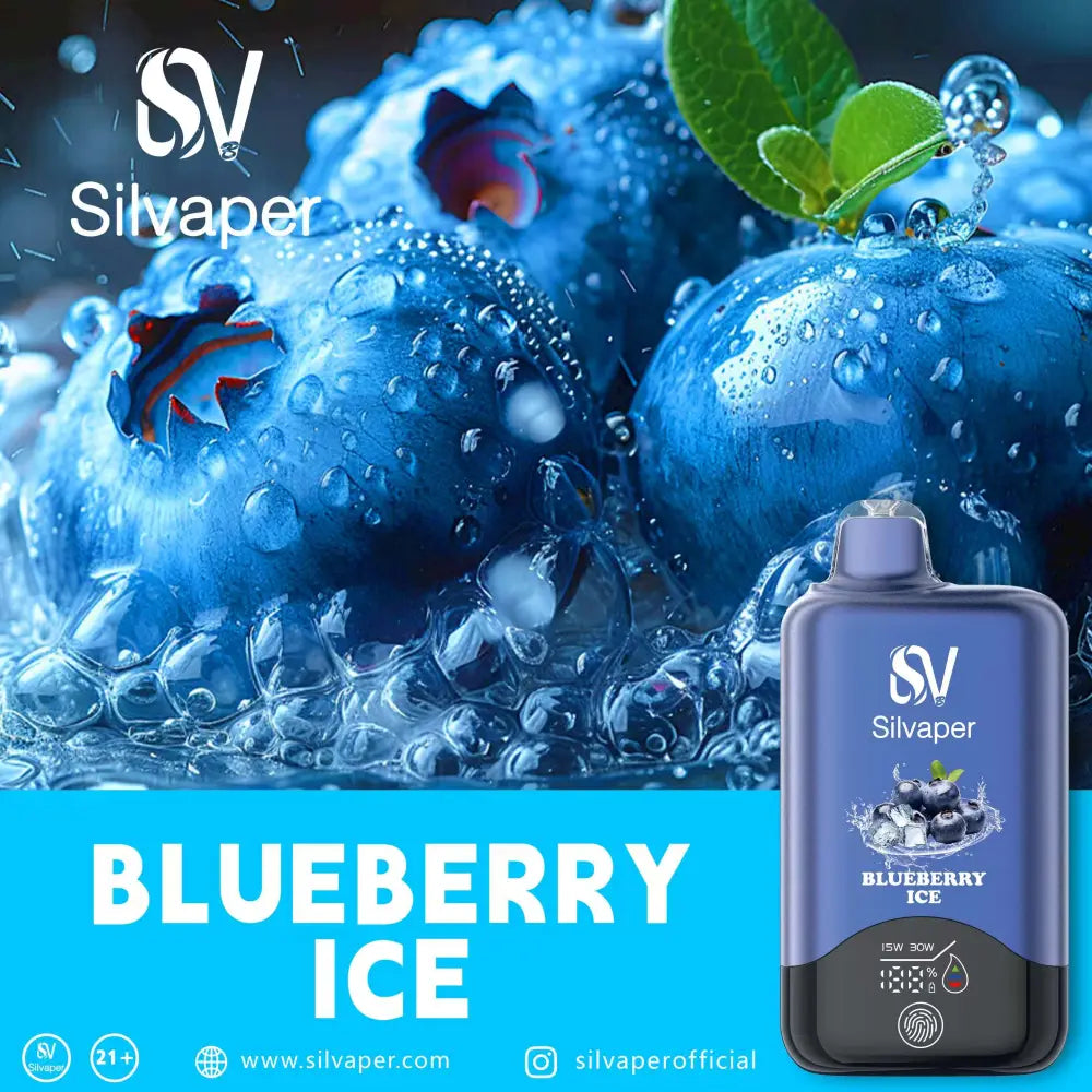Silvaper 15000 Puffs Disposable Vape - Blueberry Ice - Disposable Vape - Vapes Uae