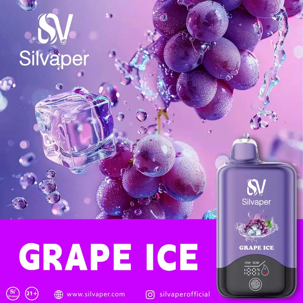 Silvaper 15000 Puffs Disposable Vape - Grape Ice - Disposable Vape - Vapes Uae