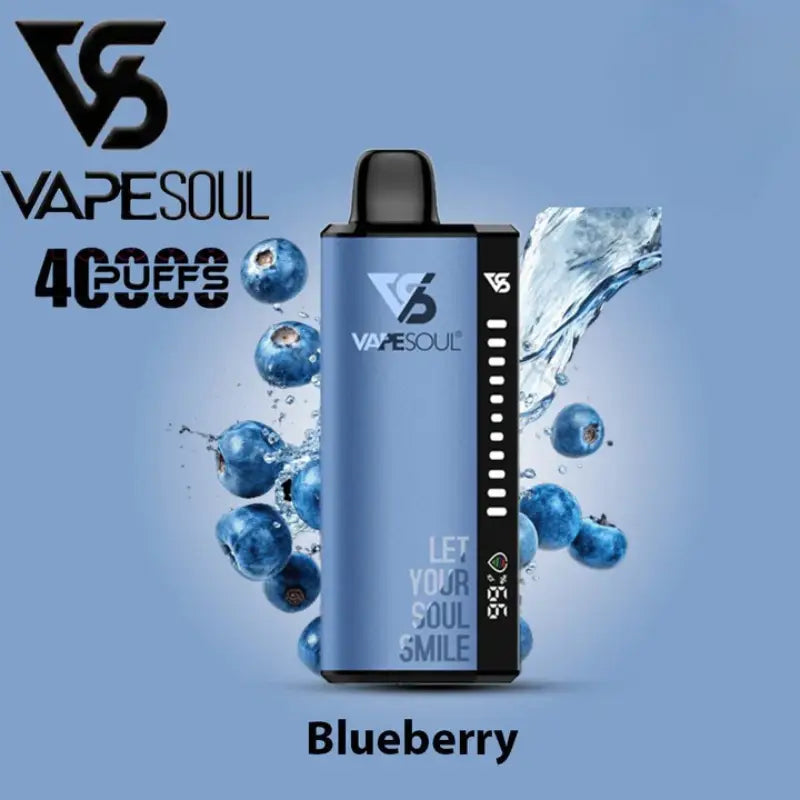 Vapesoul 40000 Puffs Disposable Vape - Blueberry - Disposable Vape - Vapes Uae