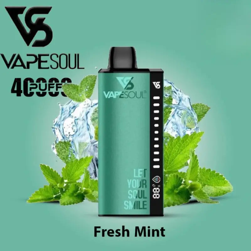 Vapesoul 40000 Puffs Disposable Vape - Fresh Mint - Disposable Vape - Vapes Uae