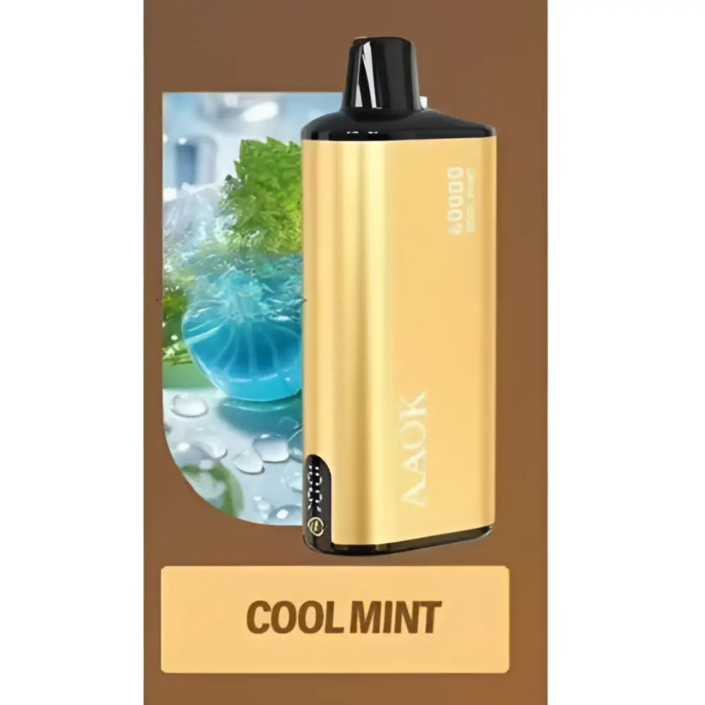 Aaok 40000 Puffs Disposable Vape - Cool Mint - Disposable Vape - Vapes Uae