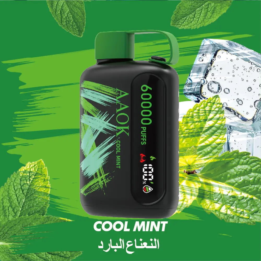 Aaok 60000 Puffs Disposable Vape - Cool Mint - Disposable Vape - Vapes Uae