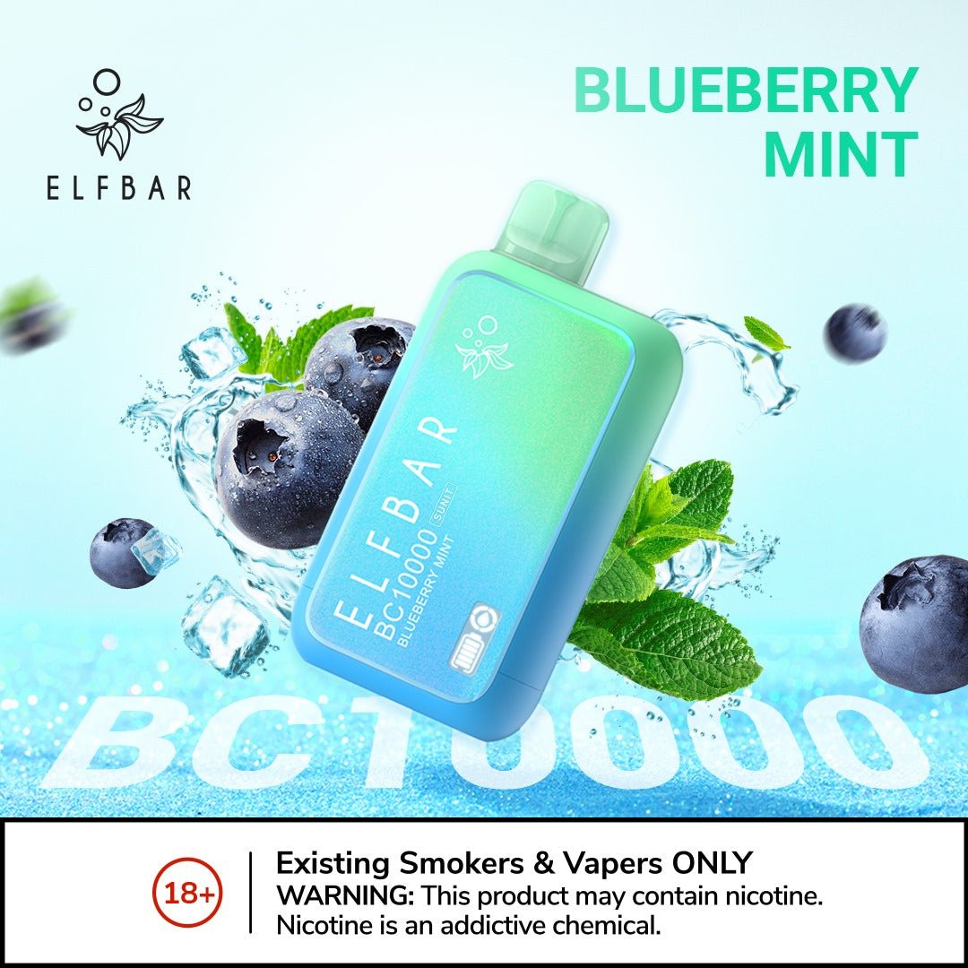 Elfbar bc10000 puffs - blueberry mint - disposable vape - vapes uae