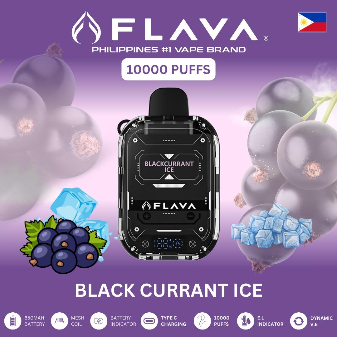 Flava 10000 Puffs Disposable Vape - Black Currant Ice - Disposable Vape - Vapes Uae