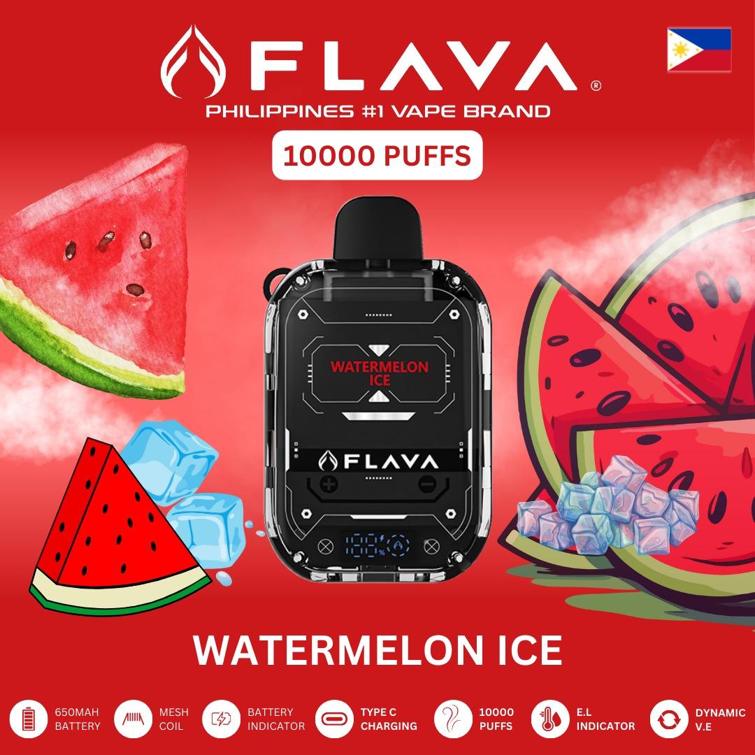 Flava 10000 Puffs Disposable Vape - Watermelon Ice - Disposable Vape - Vapes Uae