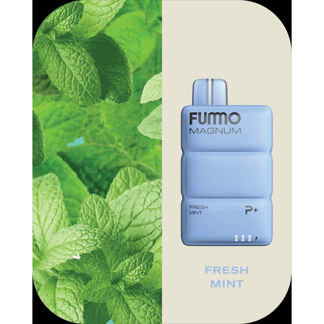 Fummo magnum 8k puffs disposable - fresh mint - disposable vape