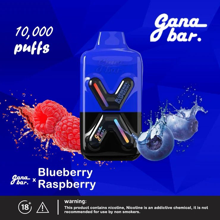 Gana bar 10000 puffs - blueberry raspberry - disposable vape - vapes uae