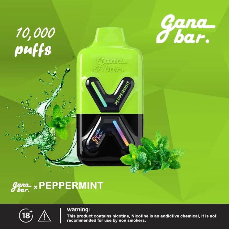 Gana bar 10000 puffs - pepper mint - disposable vape - vapes uae