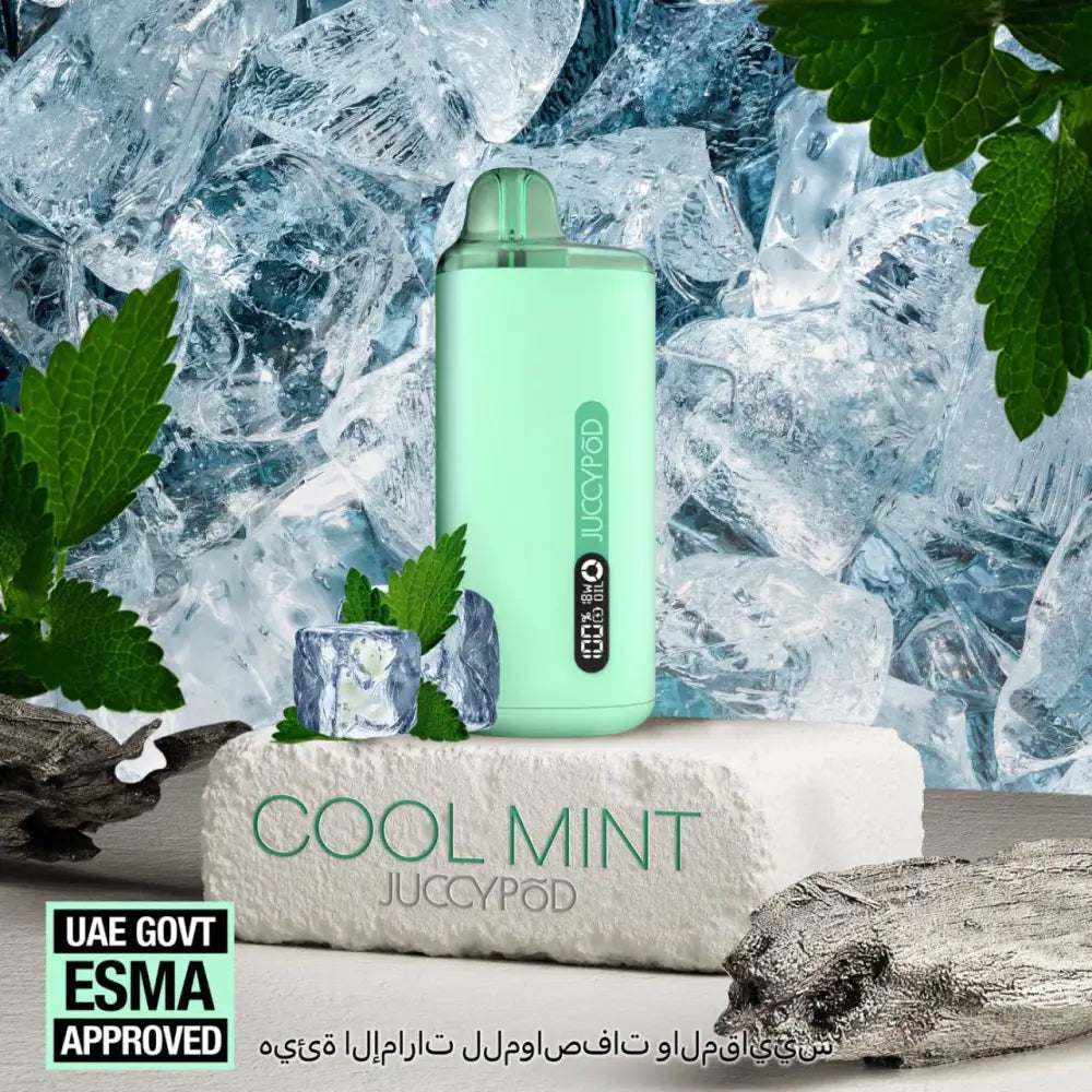 Juccypod 8000 Puffs Disposable Vape - Cool Mint - Disposable Vape - Vapes Uae