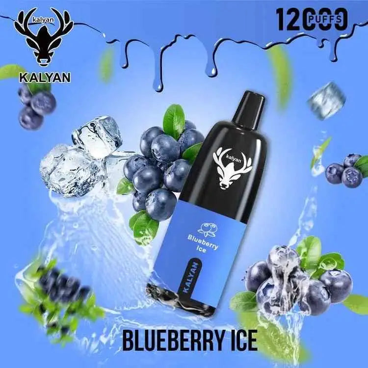 Kalyan 12000 Puffs Disposable Vape - Blueberry Ice - Disposable Vape - Vapes Uae