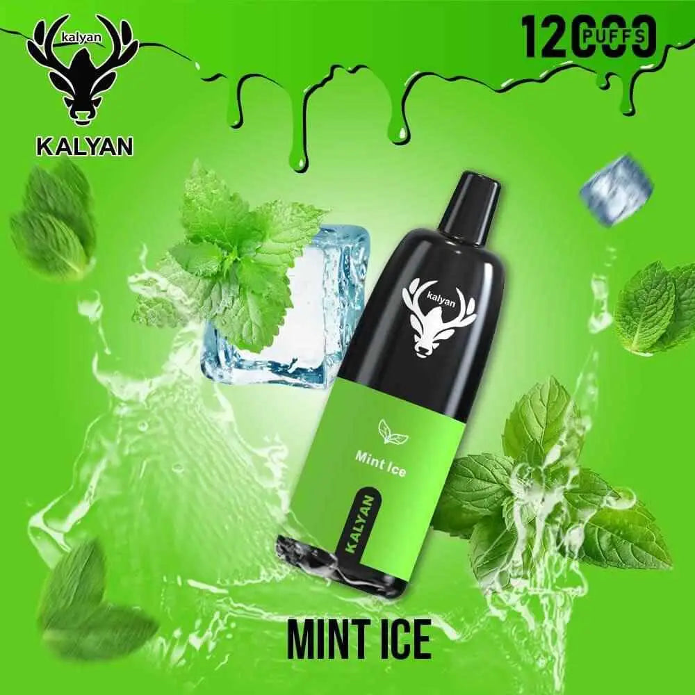 Kalyan 12000 Puffs Disposable Vape - Mint Ice - Disposable Vape - Vapes Uae