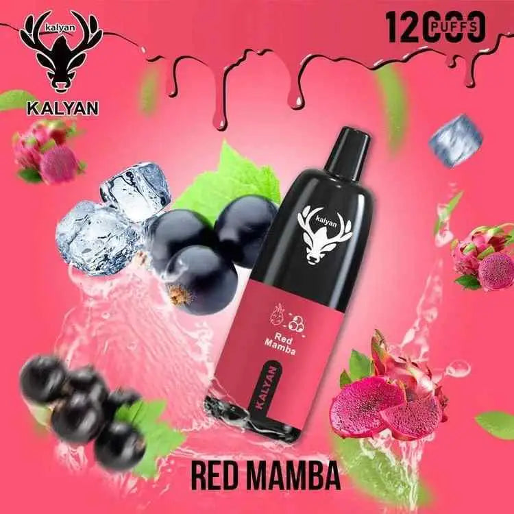 Kalyan 12000 Puffs Disposable Vape - Red Mamba - Disposable Vape - Vapes Uae