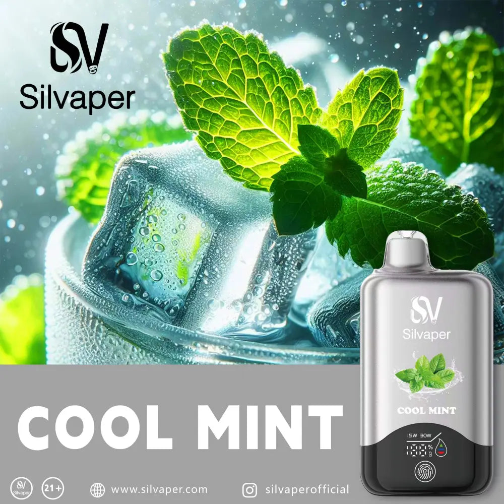 Silvaper 15000 Puffs Disposable Vape - Cool Mint - Disposable Vape - Vapes Uae