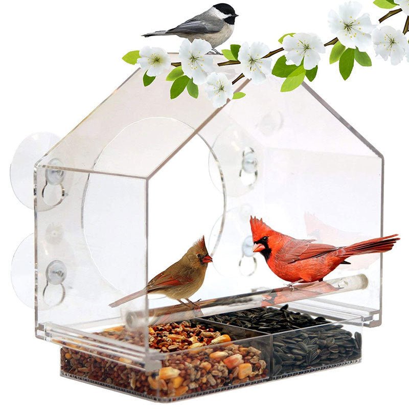 Smart bird feeder with live camera - bird buddy - birdcage - bird feeders - vapes uae