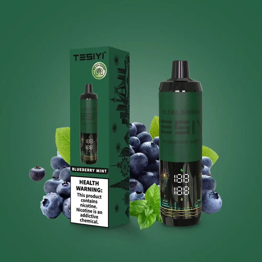 Tesiyi Ultra Shisha 35000 Puffs Disposable Vape - Blueberry Mint - Disposable Vape - Vapes Uae