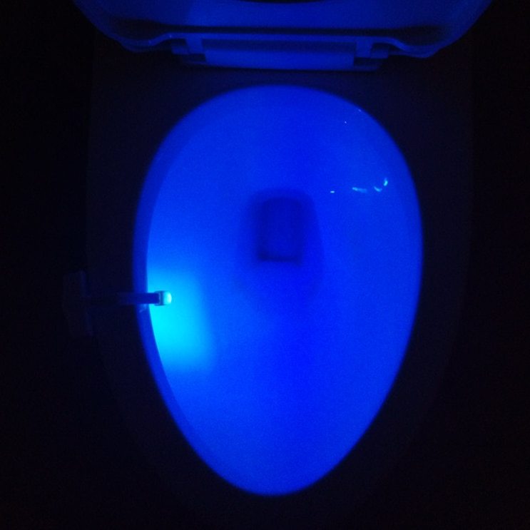 Toilet induction led night light - toys > bath toys