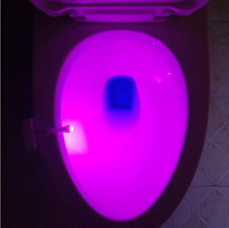 Toilet induction led night light - toys > bath toys